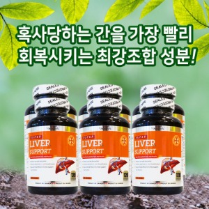 ★PNC 6병세트 캐나다 간 영양제 리버서포트 120정 밀크씨슬 피로회복